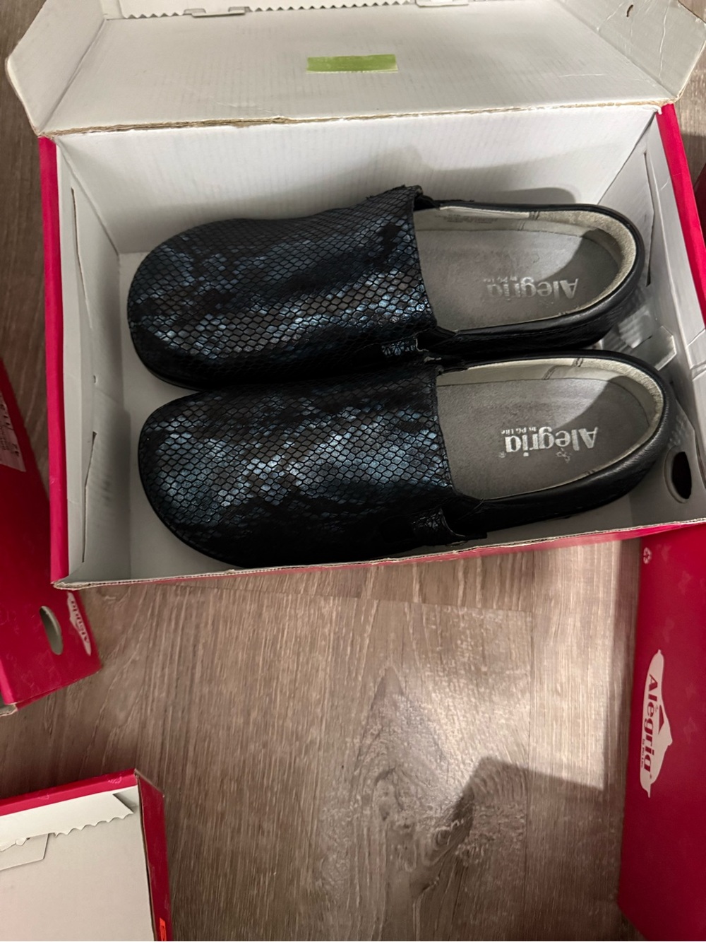 Alegria Kids Black and Blue Snakeskin Slip-On Clogs